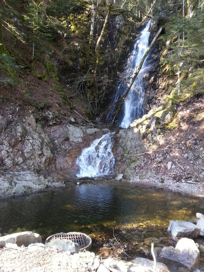 Chalet Confort Aloya Ranspach Szoba fotó