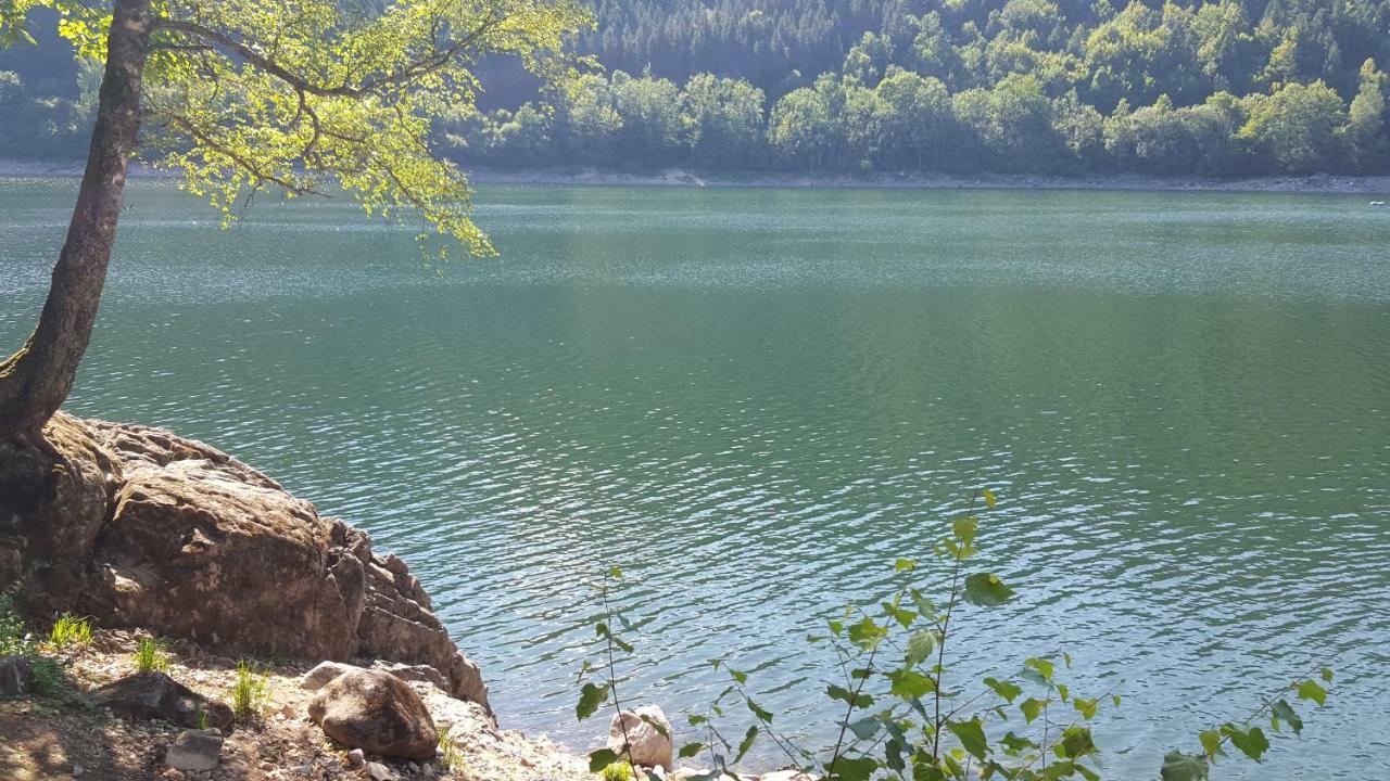 Chalet Confort Aloya Ranspach Kültér fotó