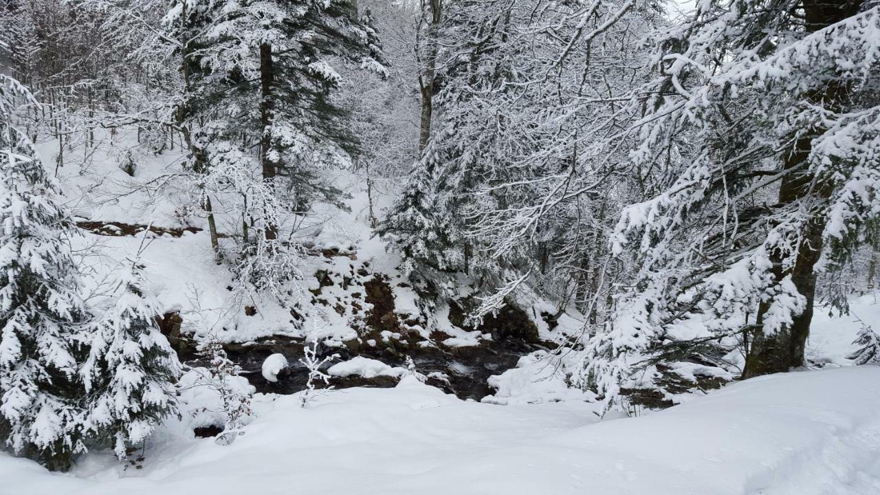 Chalet Confort Aloya Ranspach Kültér fotó