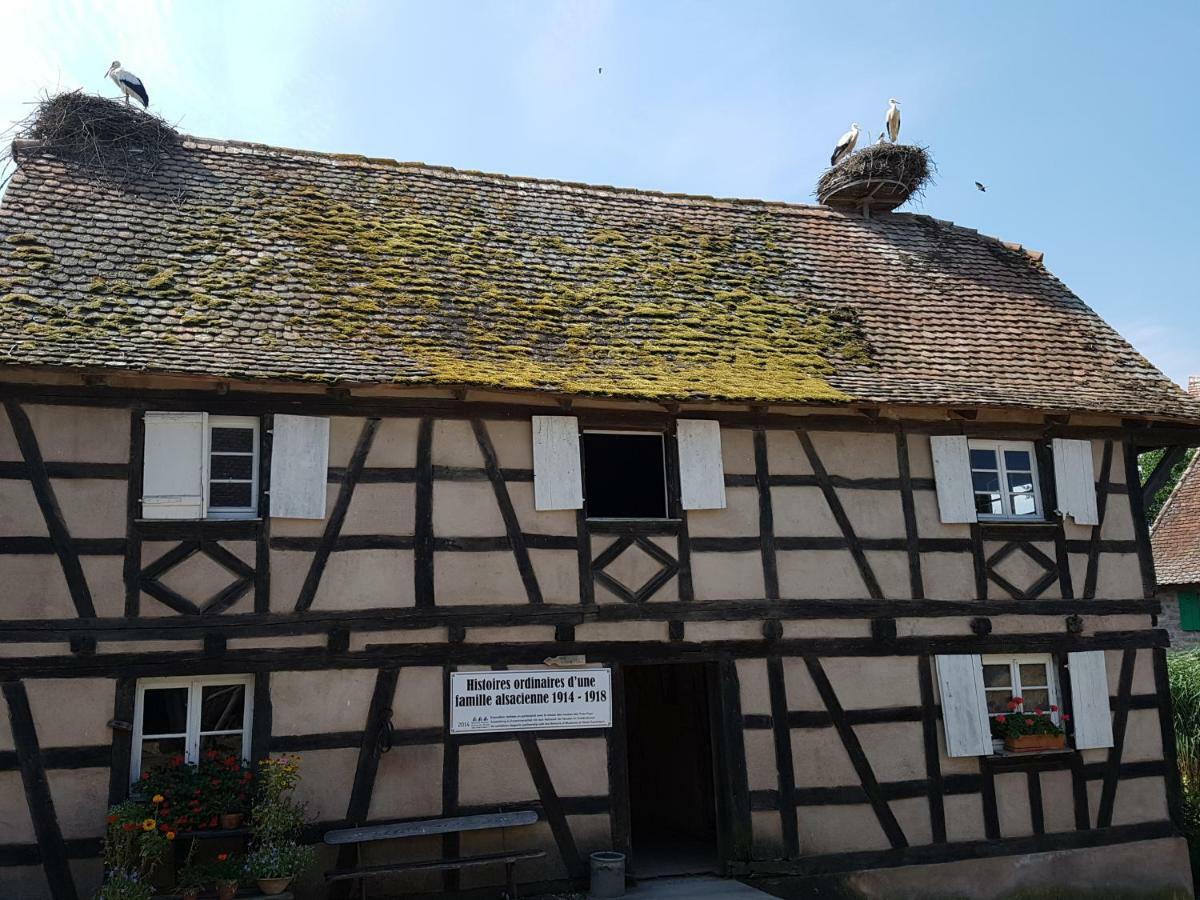 Chalet Confort Aloya Ranspach Kültér fotó